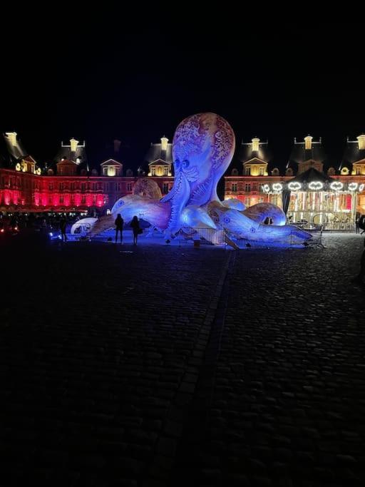 Superbe T2 A 200M De La Place Ducale Charleville-Mézières Exteriér fotografie